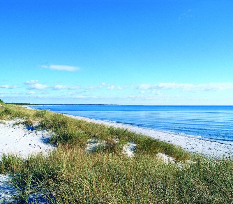 Stranden i Skanör Falsterbo i Skåne