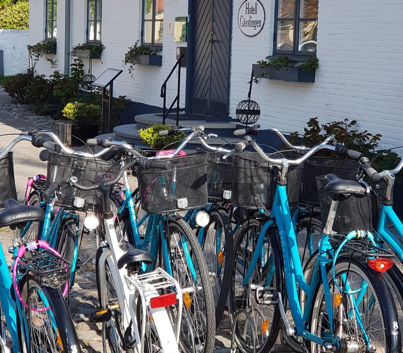 Cykla i Skanör-Falsterbo