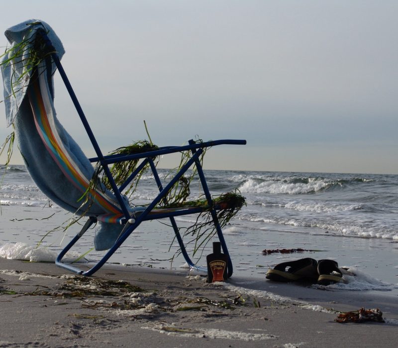 Plocka skräp på stranden i Skanör Falsterbo